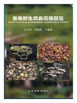 云南野生商品蘑菇图鉴,王向华等著,云南科技出版社