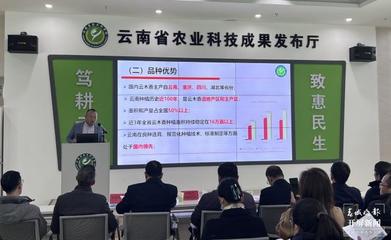 滇黄精口感更佳!云南省农科院推介药用植物科技成果